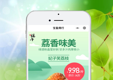 宝盈商行--黑核云计算